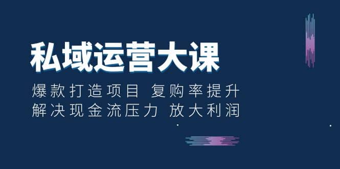 私域运营大课：爆款打造项目 复购率提升 解决现金流压力 放大利润-往来项目网