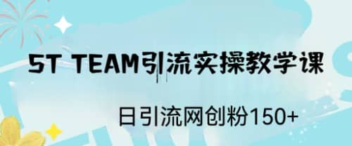 ST TEAM引流实操课，日引流网创粉100-往来项目网