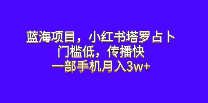 蓝海项目，小红书塔罗占卜，门槛低，传播快，一部手机月入3w-往来项目网