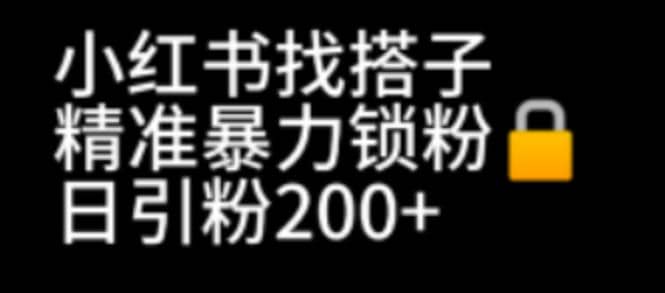 小红书找搭子暴力精准锁粉 引流日引200 精准粉-往来项目网