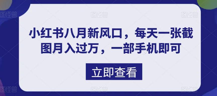 八月新风口，小红书虚拟项目一天收入1000 ，实战揭秘-往来项目网