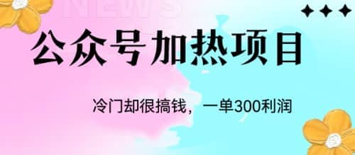 冷门公众号加热项目，一单利润300-往来项目网