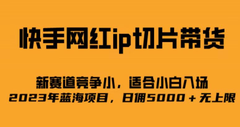 快手网红ip切片新赛道，竞争小事，适合小白 2023蓝海项目-往来项目网