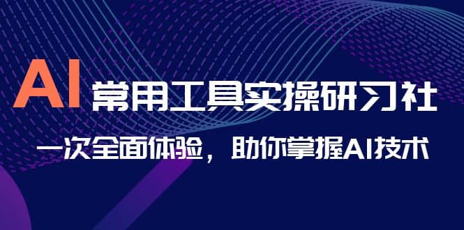 AI-常用工具实操研习社，一次全面体验，助你掌握AI技术-往来项目网