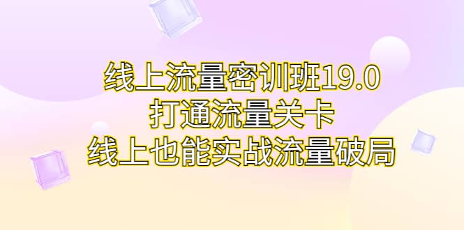 线上流量密训班19.0，打通流量关卡，线上也能实战流量破局-往来项目网