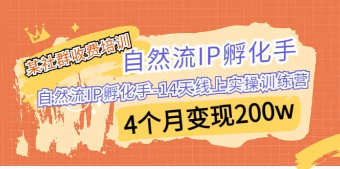 某社群收费培训：自然流IP 孵化手-14天线上实操训练营 4个月变现200w-往来项目网