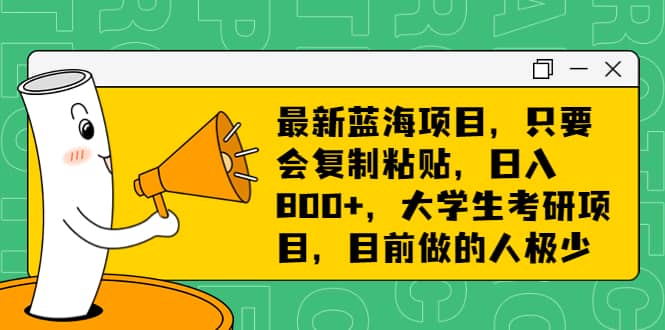 最新蓝海项目，只要会复制粘贴，日入800 ，大学生考研项目，目前做的人极少-往来项目网