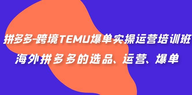 拼多多-跨境TEMU爆单实操运营培训班，海外拼多多的选品、运营、爆单-往来项目网