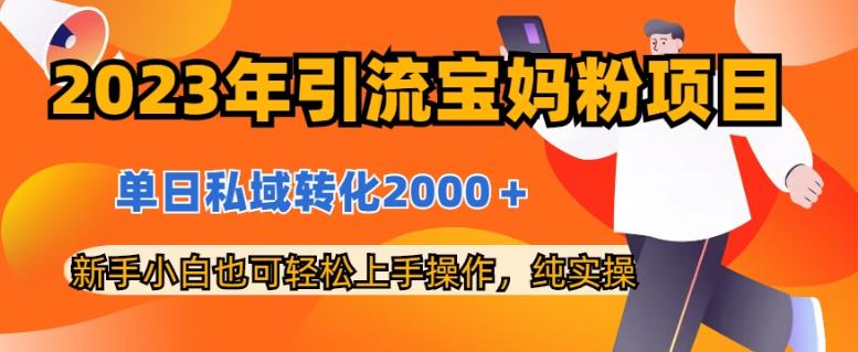 2023年引流宝妈粉项目，单日私域转化2000＋，新手小白也可轻松上手操作，纯实操-往来项目网