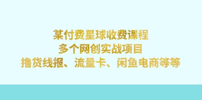 某付费星球课程：多个网创实战项目，撸货线报、流量卡、闲鱼电商等等-往来项目网