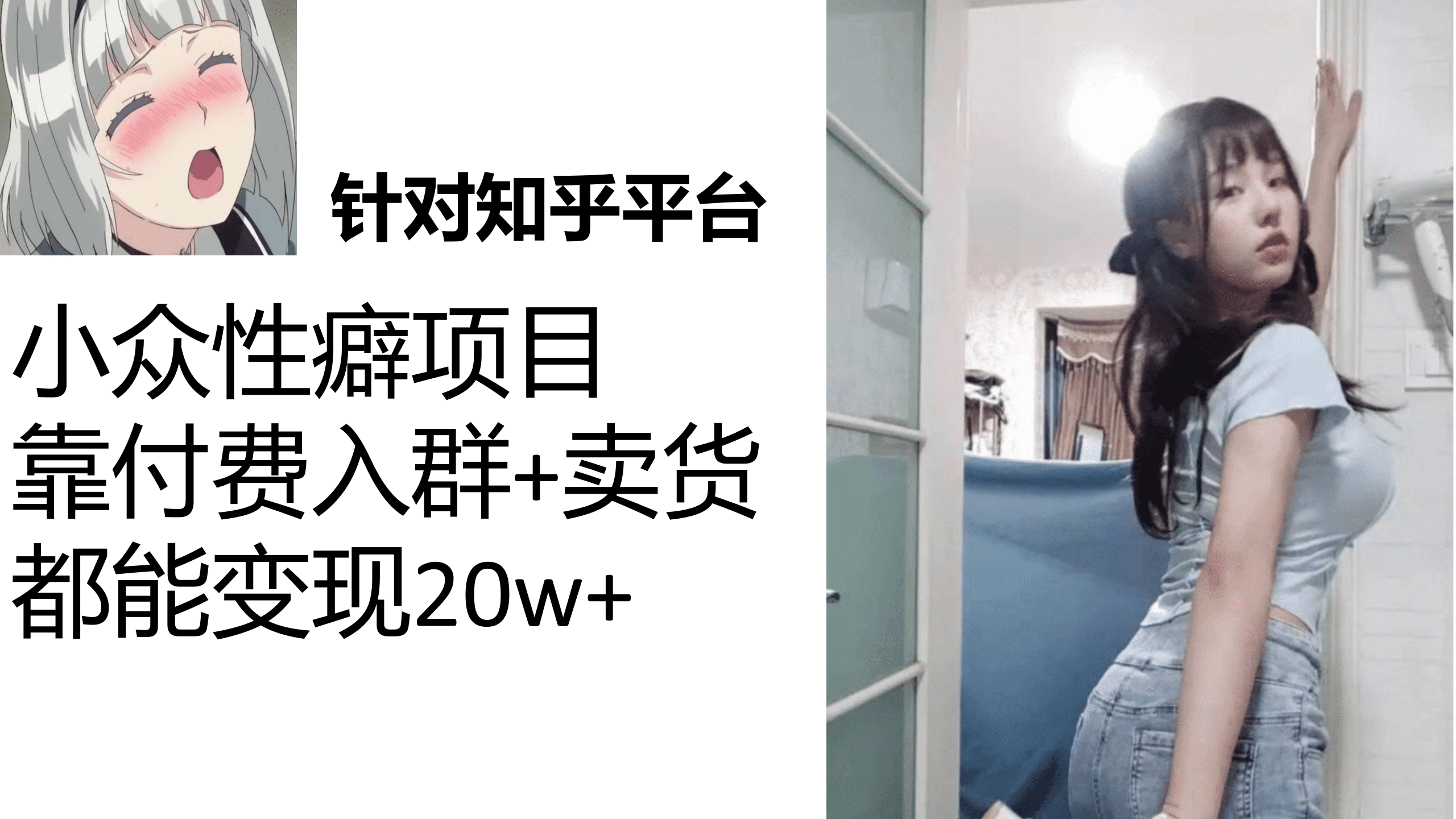 知乎小众性癖项目，Lsp的钱才是最好赚的，付费建群 卖货变现20w-往来项目网