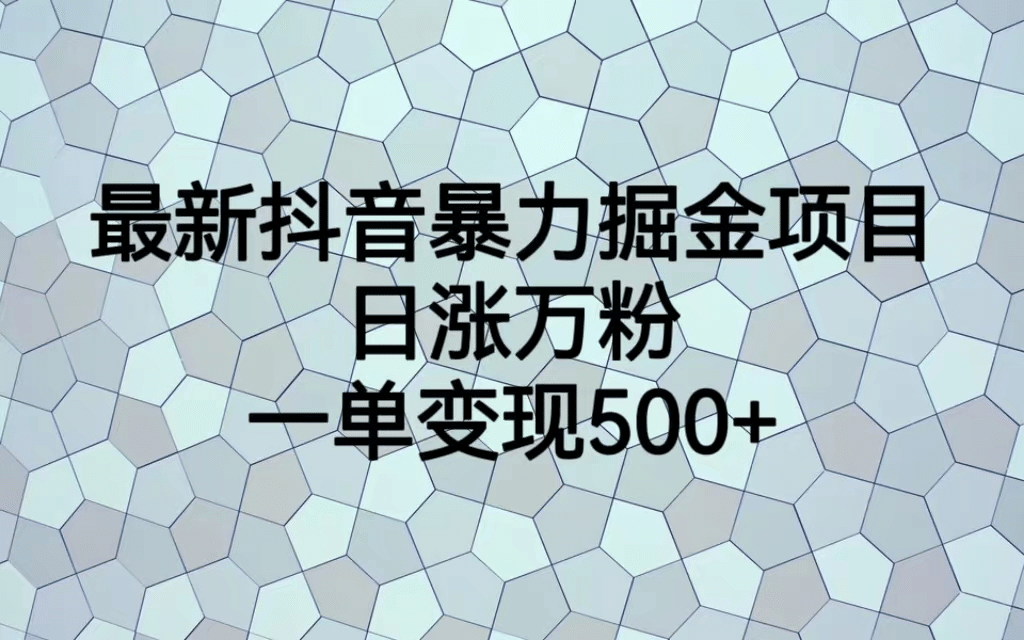 最火热的抖音暴力掘金项目，日涨万粉，多种变现方式，一单变现可达500-往来项目网