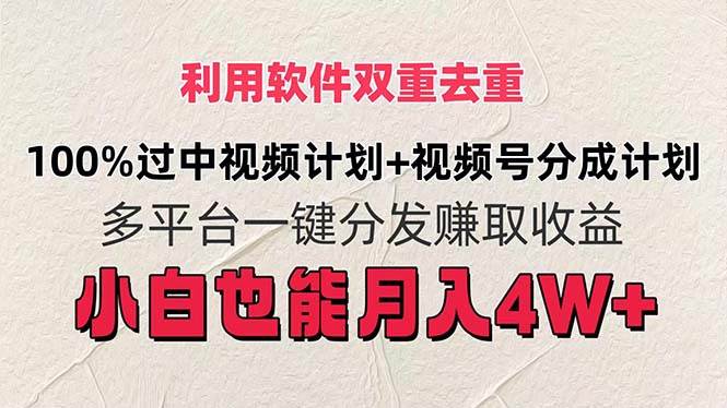 利用软件双重去重，100%过中视频+视频号分成计划小白也可以月入4W+-往来项目网