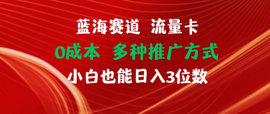 蓝海赛道 流量卡 0成本 小白也能日入三位数-往来项目网