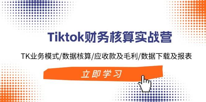 Tiktok财务核算实战营：TK业务模式/数据核算/应收款及毛利/数据下载及报表-往来项目网