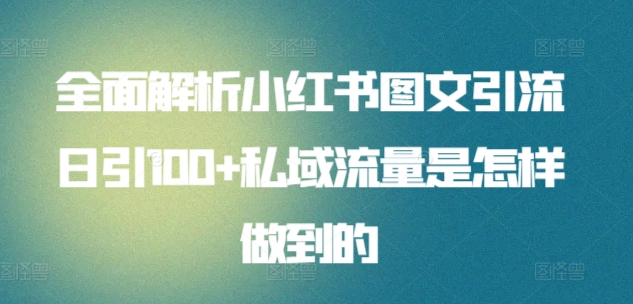 全面解析小红书图文引流日引100私域流量是怎样做到的-往来项目网