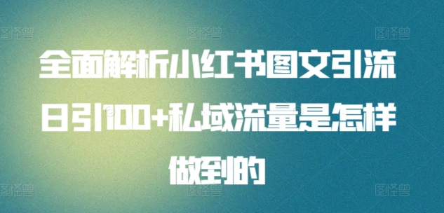 日引流100私域流量小红书图文是怎样做到的全面解析-往来项目网