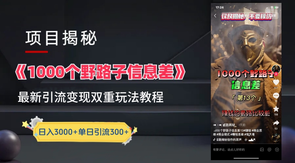 一千个野路子信息差24年最新玩法教程附带变现方法和引流的玩法具体拆解-往来项目网