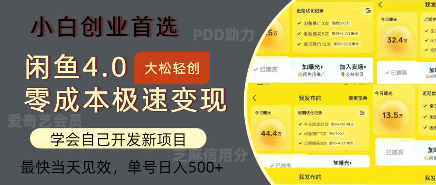 闲鱼0成本极速变现项目，多种变现方式，单号日入500+最新玩法-往来项目网