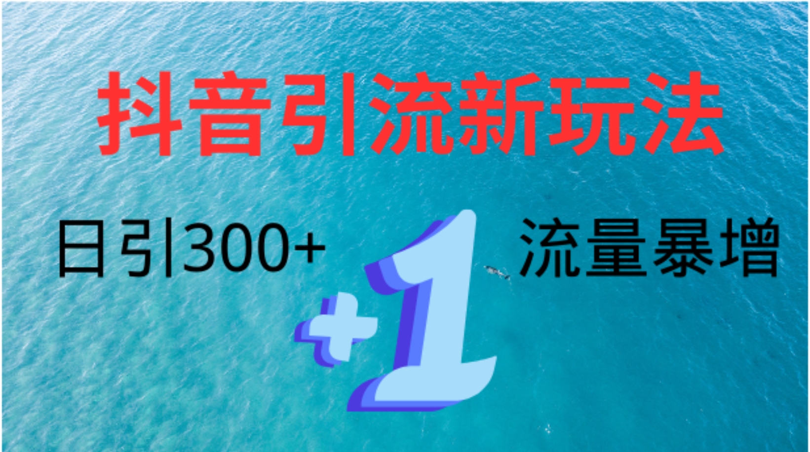 创业粉高效引流，抖音工具号玩法4.0，日引300+-往来项目网