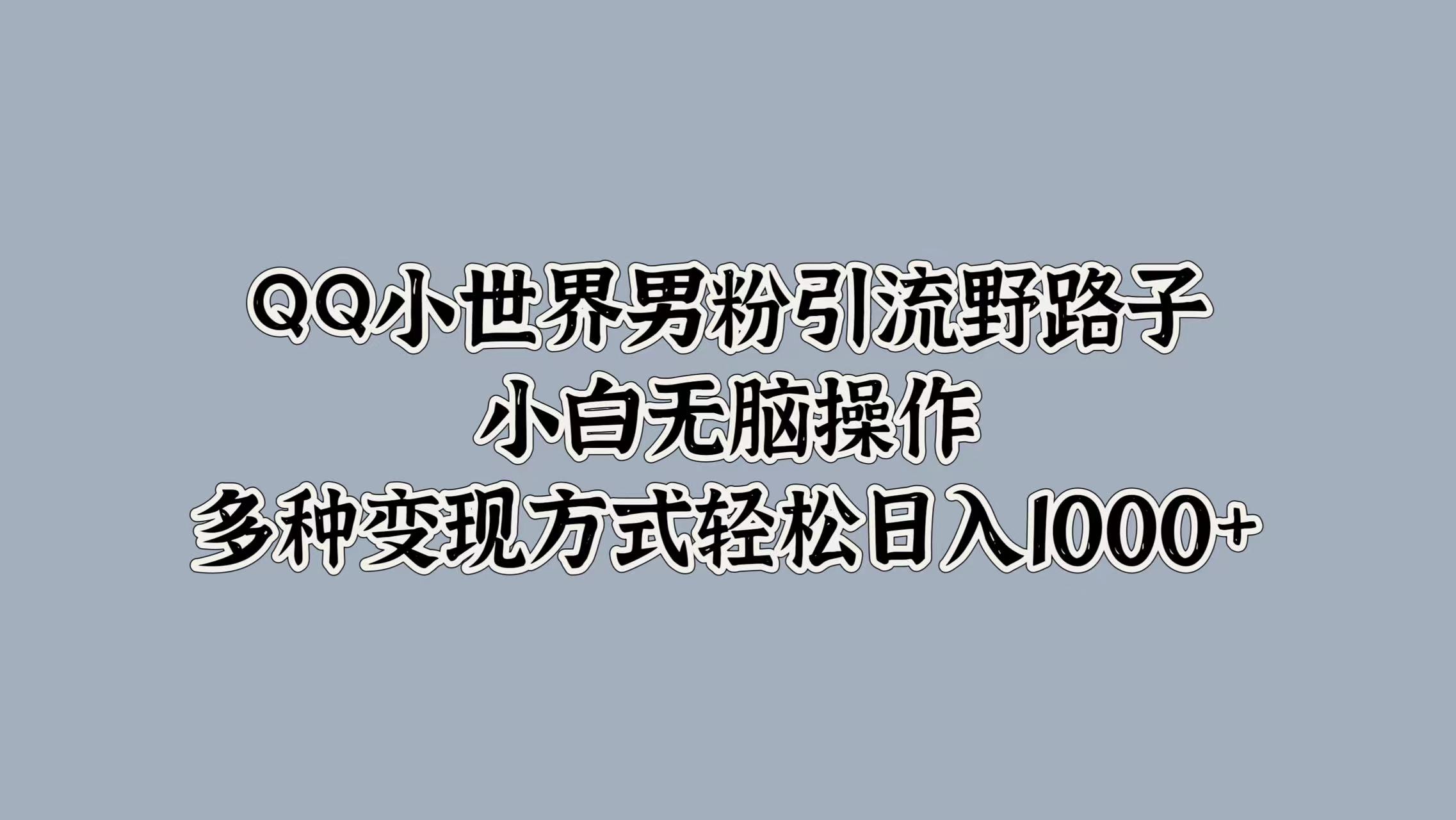 QQ小世界男粉引流野路子，小白无脑操作，多种变现方式轻松日入1000+-往来项目网