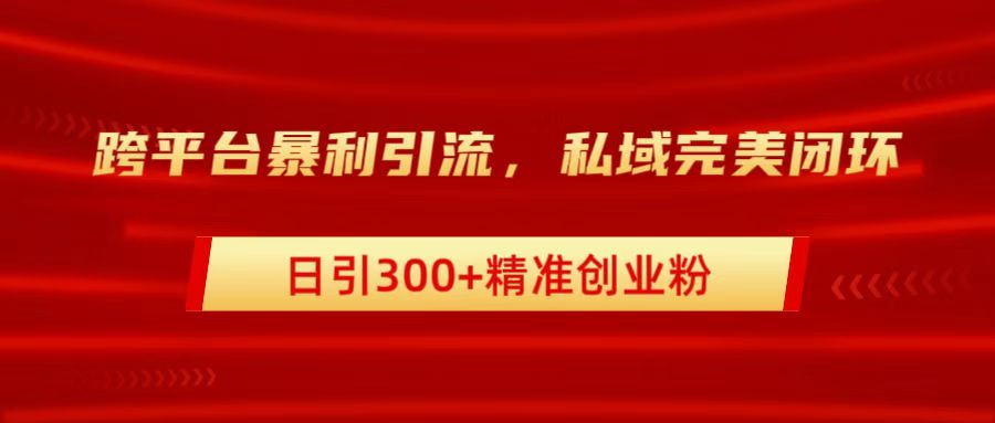 跨平台暴力引流，私域完美闭环，日引300+精准创业粉-往来项目网