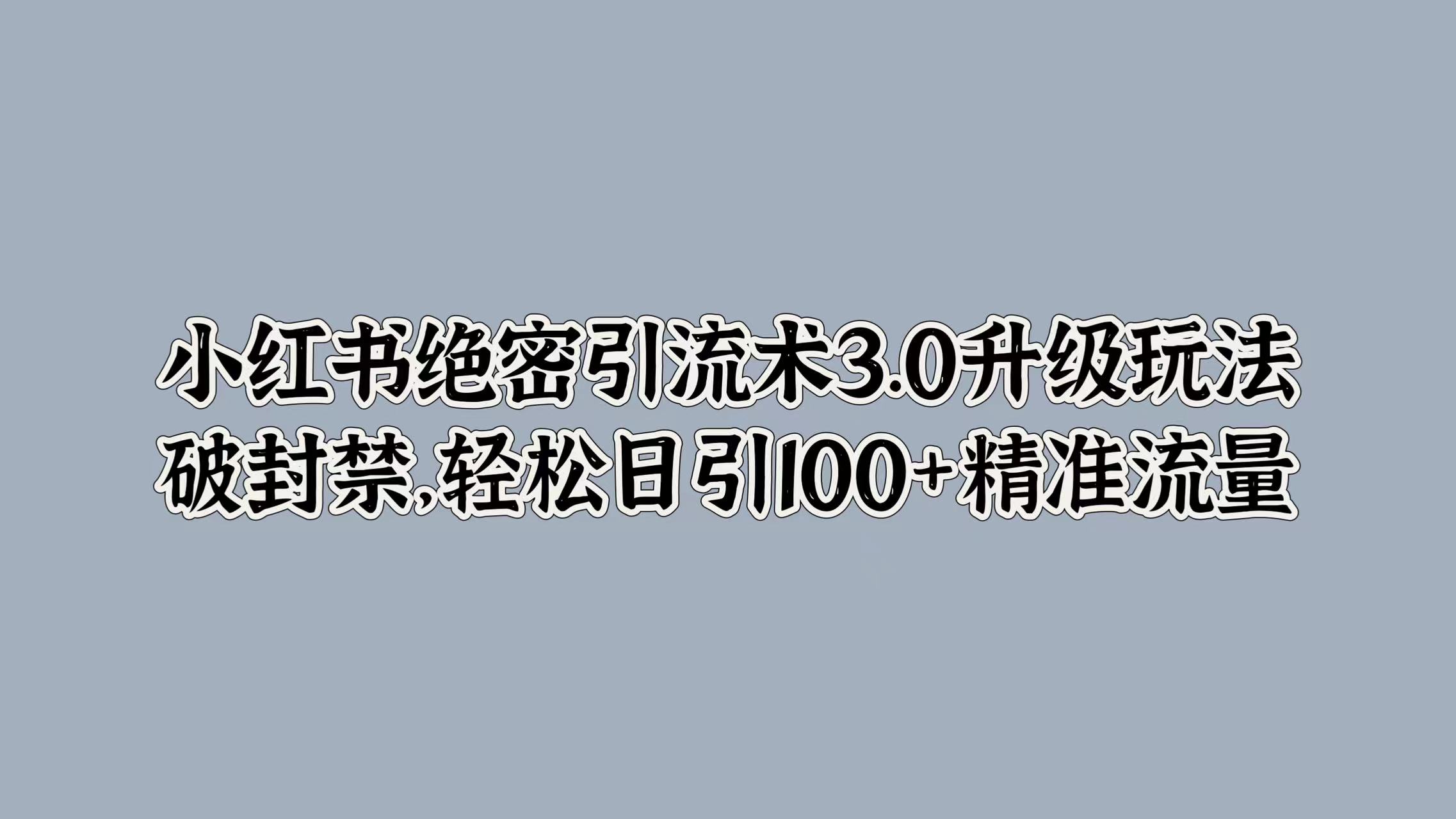 小红书绝密引流术3.0升级玩法，破封禁，轻松日引100+精准流量-往来项目网