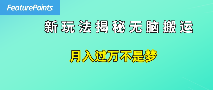 简单操作，每天50美元收入，搬运就是赚钱的秘诀！-往来项目网