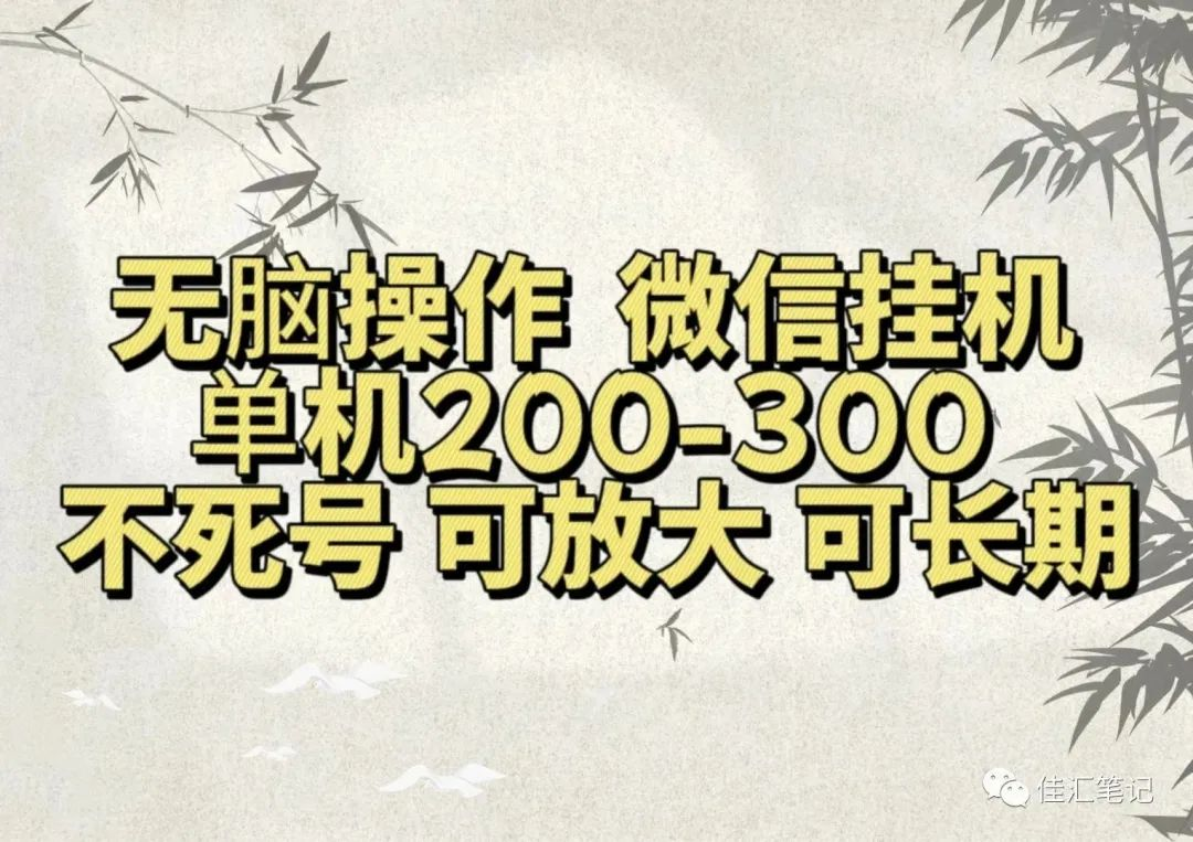 无脑操作微信视频号挂机单机200-300一天，不死号，可放大，工作室实测-往来项目网