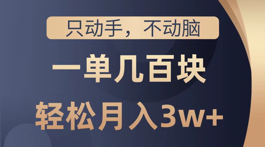 只动手不动脑，一单几百块，轻松月入2w+，看完就能直接操作，详细教程-往来项目网