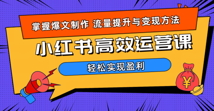 价值980小红书运营操作指南-往来项目网