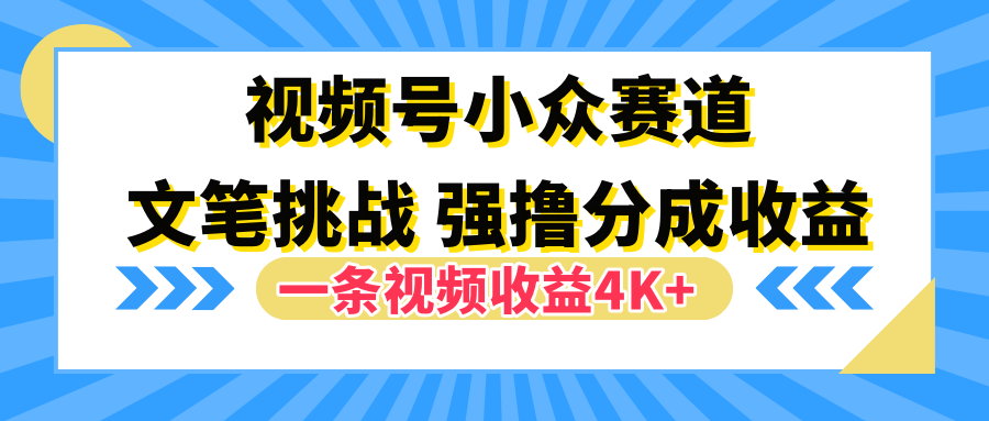 视频号小众赛道，文笔挑战，一条视频收益4K+-往来项目网