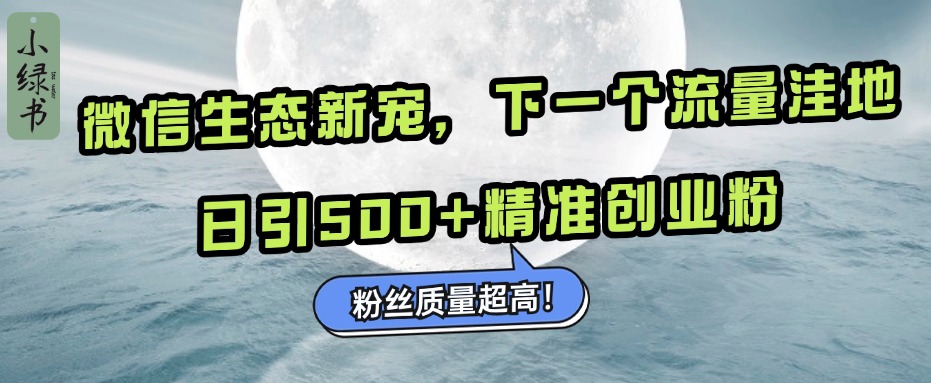 微信生态新宠小绿书：下一个流量洼地，粉丝质量超高，日引500+精准创业粉，-往来项目网