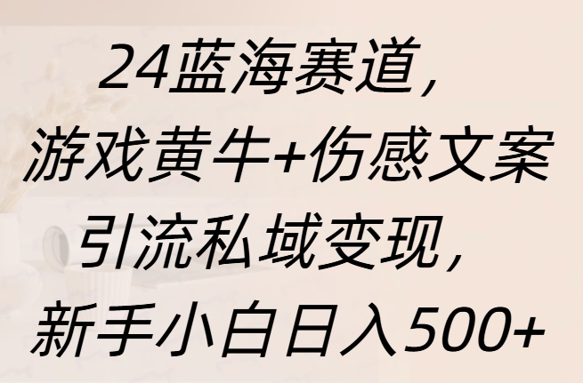 24蓝海赛道，游戏黄牛+伤感文案引流私域变现，新手日入500+-往来项目网