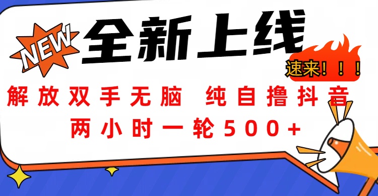 解放双手无脑 纯自撸抖音 两小时一轮500+-往来项目网