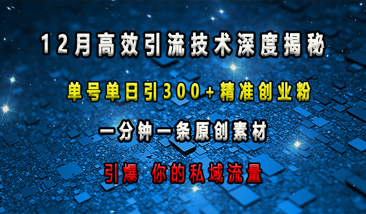 12月高效引流技术深度揭秘 ，单号单日引300+精准创业粉，一分钟一条原创素材，引爆你的私域流量-往来项目网