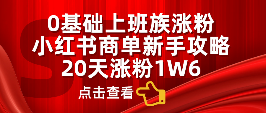 小红书商单新手攻略，20天涨粉1.6w，0基础上班族涨粉-往来项目网