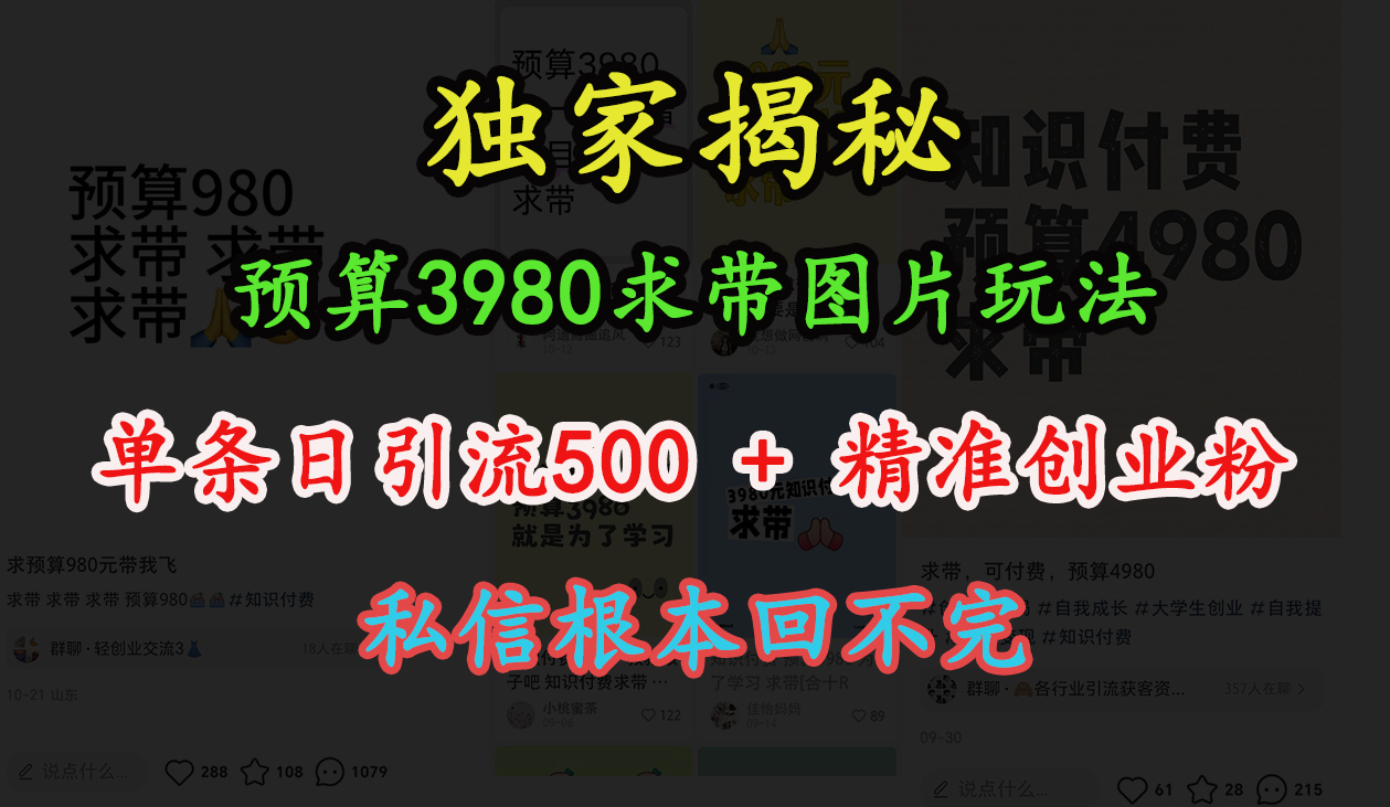 “小红书”预算3980求带 图片玩法，单条日引流500+精准创业粉，私信根本回不完-往来项目网