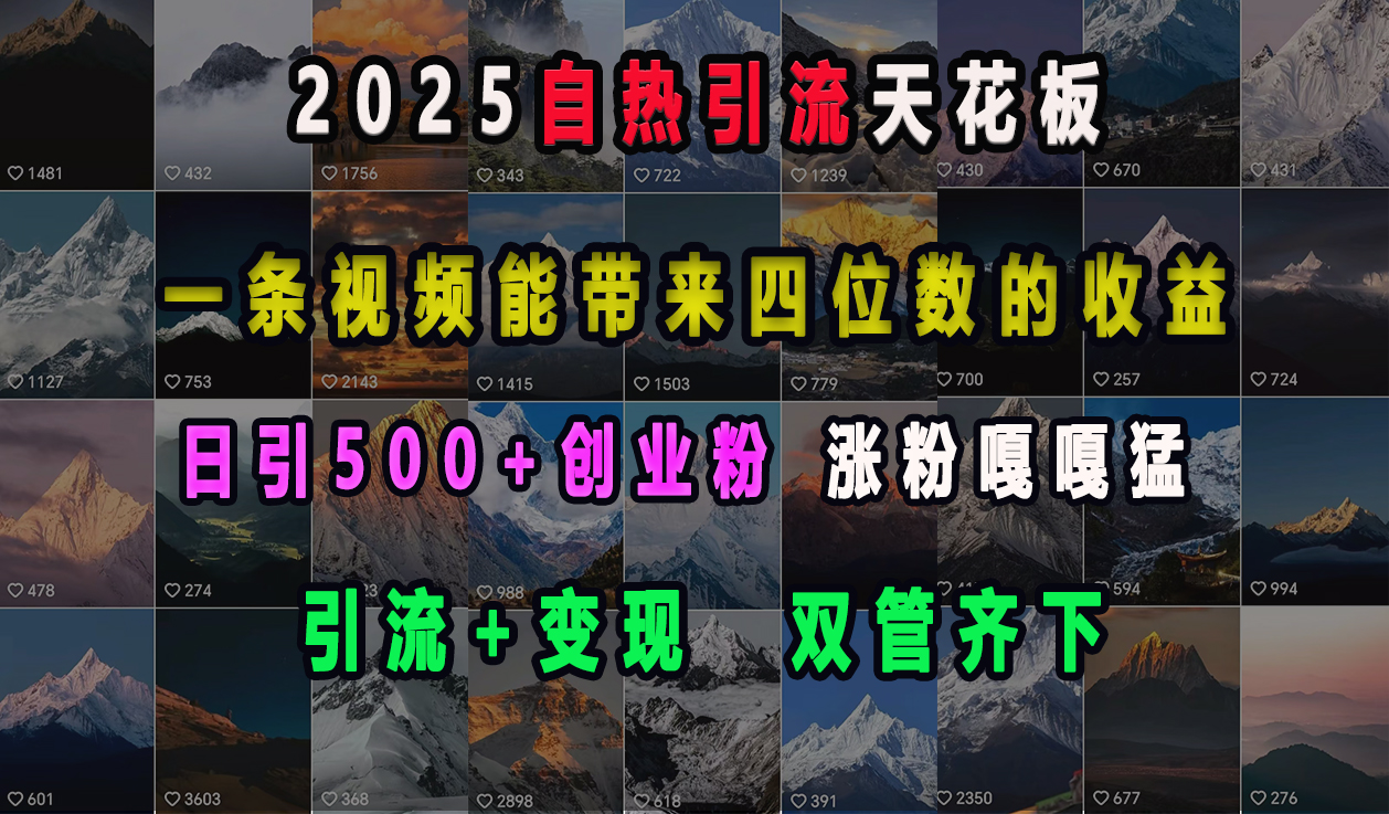 2025自热引流天花板，一条视频能带来四位数的收益，引流+变现双管齐下，日引500+创业粉，涨粉嘎嘎猛-往来项目网