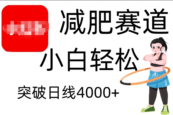 小红书减肥赛道，小白轻松日利润4000+-往来项目网