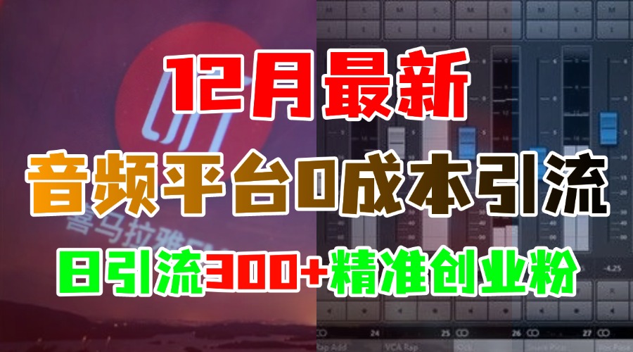 12月最新：音频平台0成本引流，日引300+精准创业粉-往来项目网