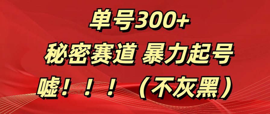 单号300+  秘密赛道 暴力起号  （不灰黑）-往来项目网