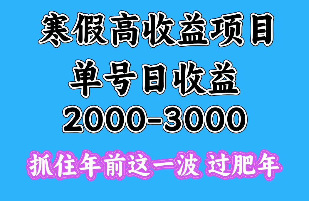 寒假期间一天收益2000-3000+，抓住年前这一波-往来项目网