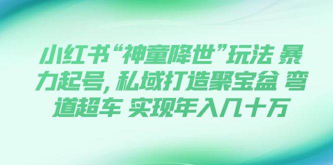 小红书“神童降世”玩法 暴力起号,私域打造聚宝盆 弯道超车 实现年入几十万-往来项目网