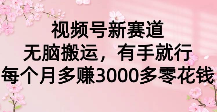 视频号新赛道，无脑搬运，有手就行，每个月多赚3000多零花钱-往来项目网