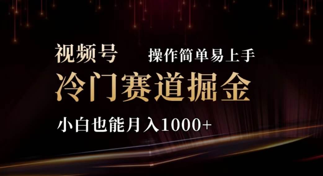 2024视频号冷门赛道掘金，操作简单轻松上手，小白也能月入1000+-往来项目网