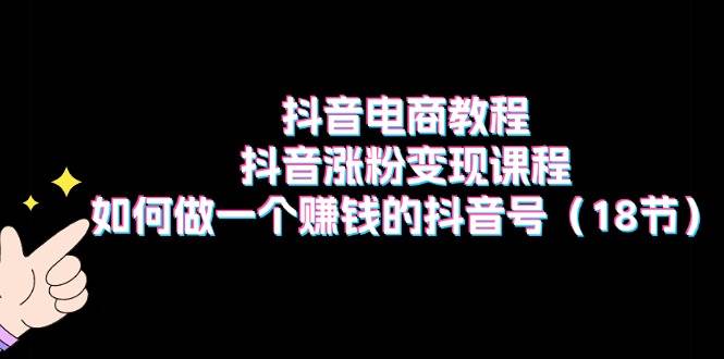 抖音电商教程：抖音涨粉变现课程：如何做一个赚钱的抖音号（18节）-往来项目网